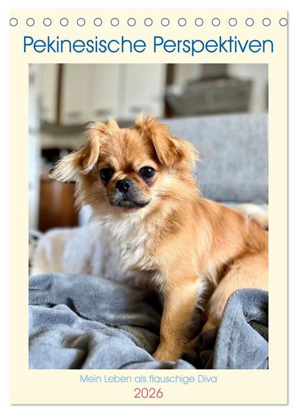 Pekinesische Perspektiven - Mein Leben als flauschige Diva (Tischkalender 2026 DIN A5 hoch), CALVENDO Monatskalender