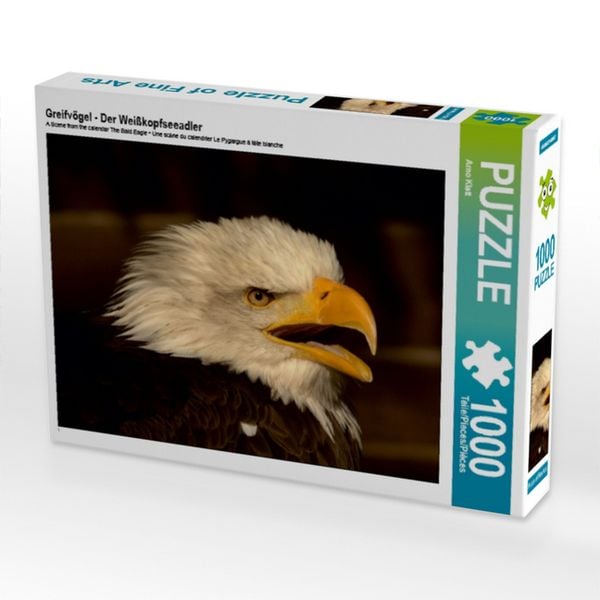 CALVENDO Puzzle Greifvögel - Der Weißkopfseeadler 1000 Teile Lege-Größe 64x48cm Foto-Puzzle für glückliche Stunden