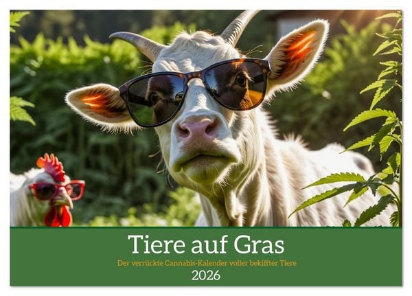 Tiere auf Gras - Der verrückte Cannabis-Kalender voller bekiffter Tiere (Tischkalender 2026 DIN A5 quer), CALVENDO Monatskalender