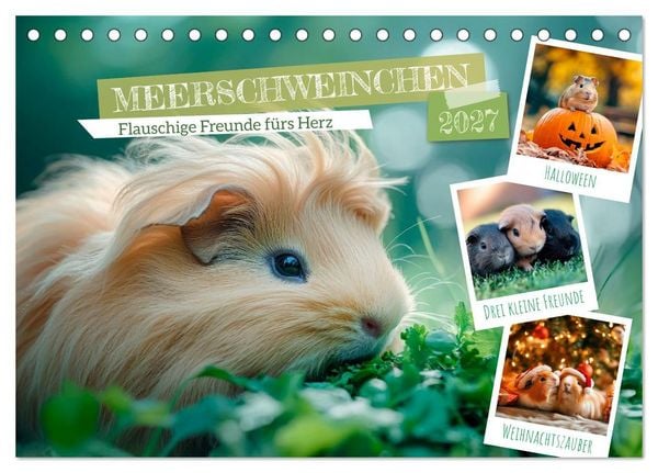 Meerschweinchen - Flauschige Freunde fürs Herz (Tischkalender 2027 DIN A5 quer), CALVENDO Monatskalender