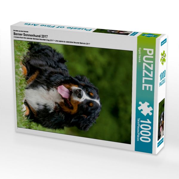 CALVENDO Puzzle Ein Motiv aus dem Kalender Berner Sennenhund 2017 1000 Teile Lege-Größe 64x48cm Foto-Puzzle für glückliche Stunden