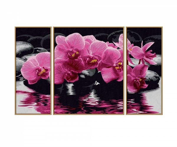 Malen nach Zahlen - Orchideen (Triptychon)