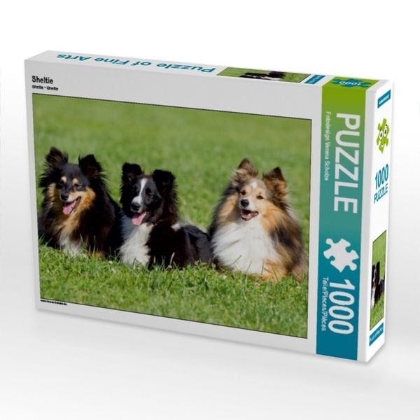 CALVENDO Puzzle Sheltie 1000 Teile Lege-Größe 64x48cm Foto-Puzzle für glückliche Stunden