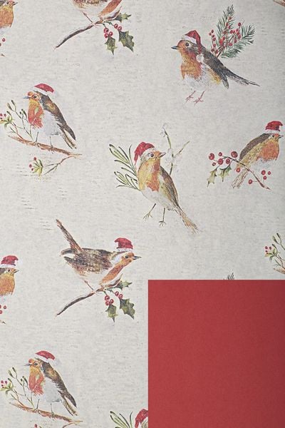 Buchhandlungsbedarf Geschenkpapier Robin