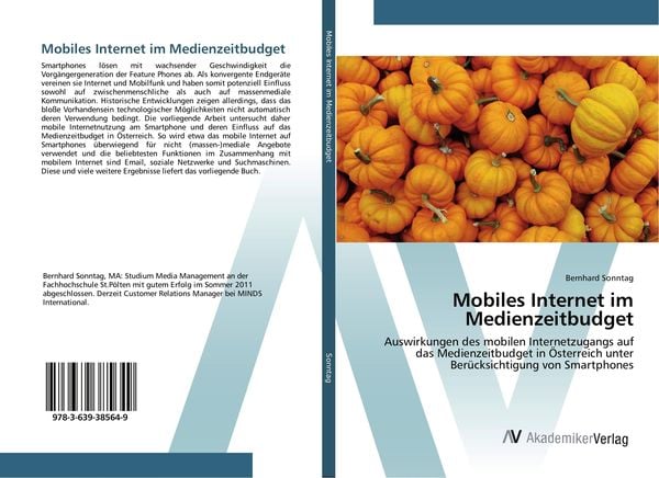 Mobiles Internet im Medienzeitbudget