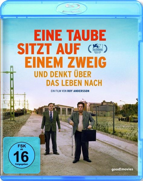 Eine Taube sitzt auf einem Zweig und denkt über das Leben nach