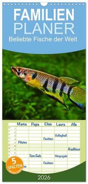 Familienplaner 2026 - Beliebte Fische der Welt mit 5 Spalten (Wandkalender, 21 x 45 cm) CALVENDO