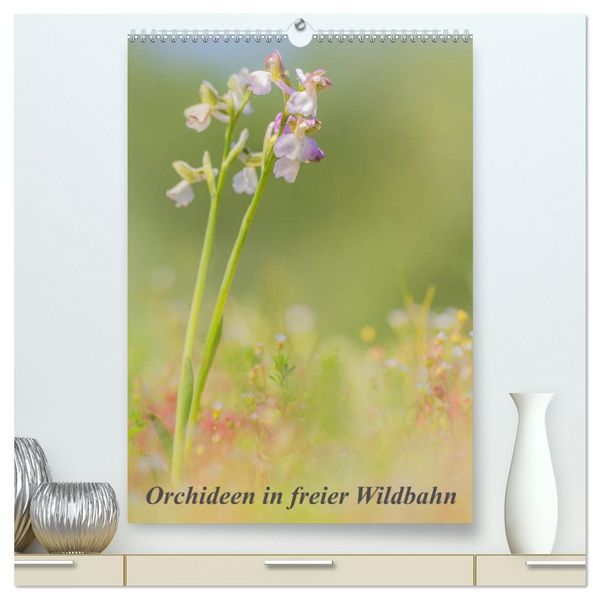 Orchideen in freier Wildbahn (hochwertiger Premium Wandkalender 2027 DIN A2 hoch), Kunstdruck in Hochglanz