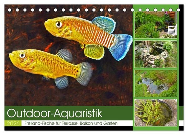 Outdoor-Aquaristik (Tischkalender 2026 DIN A5 quer), CALVENDO Monatskalender