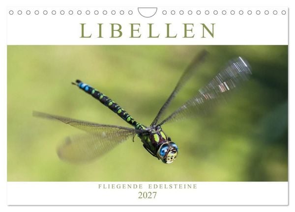Libellen - Fliegende Edelsteine (Wandkalender 2027 DIN A4 quer), CALVENDO Monatskalender