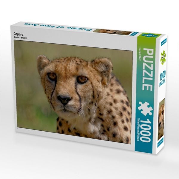 CALVENDO Puzzle Gepard 1000 Teile Lege-Größe 64x48cm Foto-Puzzle für glückliche Stunden
