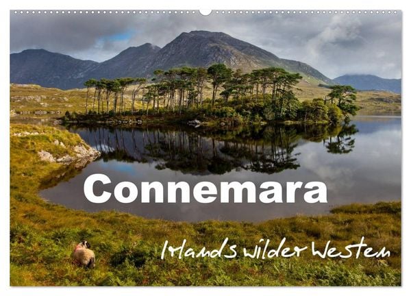 Connemara - Irlands wilder Westen (Wandkalender 2026 DIN A2 quer), CALVENDO Monatskalender
