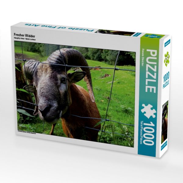 CALVENDO Puzzle Frecher Widder 1000 Teile Lege-Größe 64x48cm Foto-Puzzle für glückliche Stunden