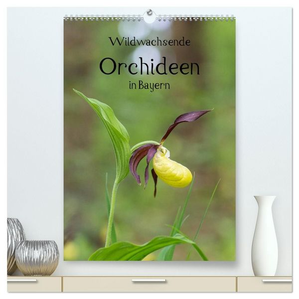 Wildwachsende Orchideen in Bayern (hochwertiger Premium Wandkalender 2027 DIN A2 hoch), Kunstdruck in Hochglanz