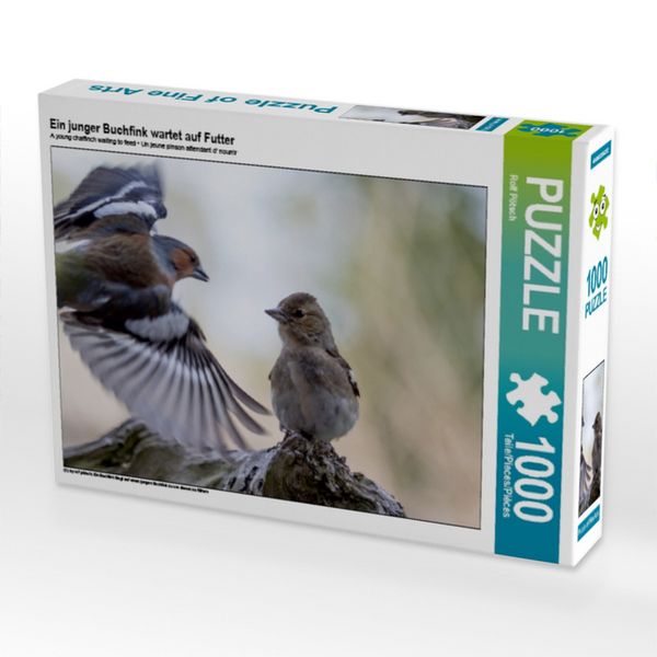 CALVENDO Puzzle Ein junger Buchfink wartet auf Futter 1000 Teile Lege-Größe 64x48cm Foto-Puzzle für glückliche Stunden