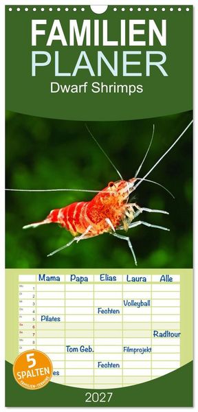 Familienplaner 2027 - Dwarf Shrimps mit 5 Spalten (Wandkalender, 21 x 45 cm) CALVENDO