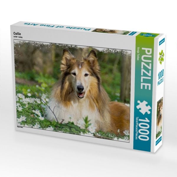 CALVENDO Puzzle Collie 1000 Teile Lege-Größe 64x48cm Foto-Puzzle für glückliche Stunden