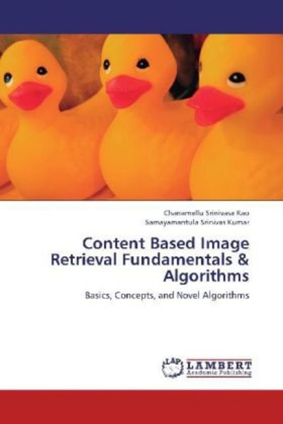 Srinivasa Rao, C: Content Based Image Retrieval Fundamentals