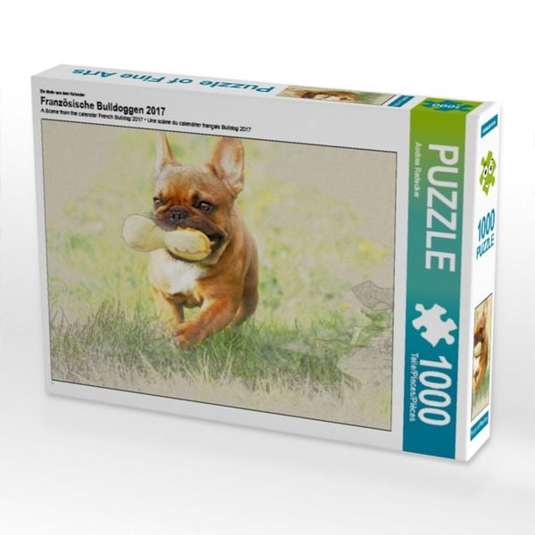CALVENDO Puzzle Ein Motiv aus dem Kalender Französische Bulldoggen 2017 1000 Teile Lege-Größe 64x48cm Foto-Puzzle für glückliche Stunden