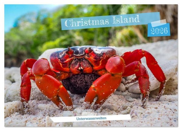Unterwasserwelt Christmas Island (Tischkalender 2026 DIN A5 quer), CALVENDO Monatskalender