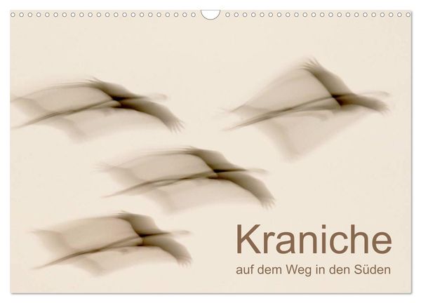 Kraniche auf dem Weg nach Süden (Wandkalender 2025 DIN A3 quer), CALVENDO Monatskalender
