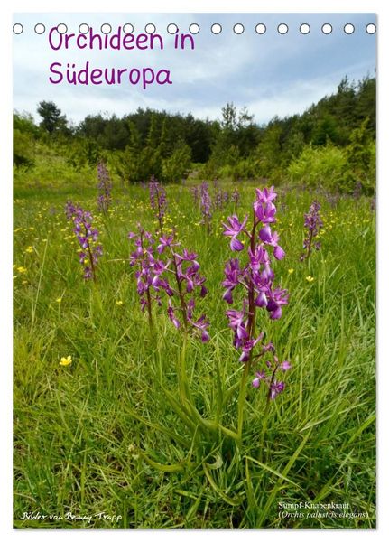 Orchideen in Südeuropa (Tischkalender 2027 DIN A5 hoch), CALVENDO Monatskalender