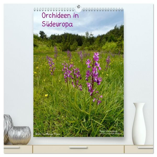 Orchideen in Südeuropa (hochwertiger Premium Wandkalender 2027 DIN A2 hoch), Kunstdruck in Hochglanz