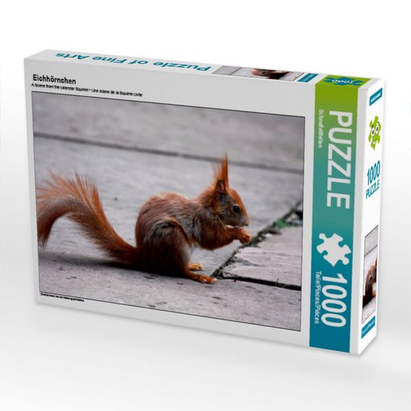 CALVENDO Puzzle Eichhörnchen 1000 Teile Lege-Größe 64x48cm Foto-Puzzle für glückliche Stunden