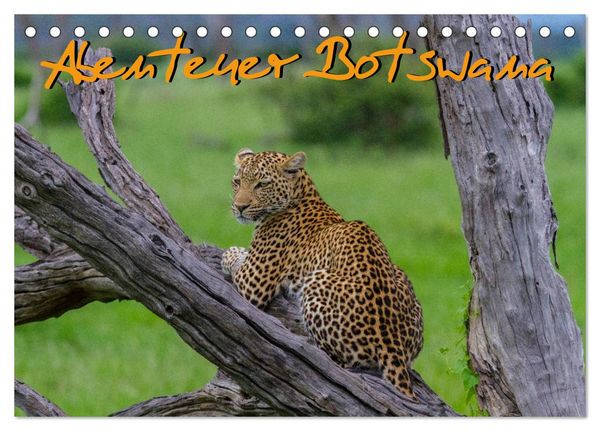 Abenteuer Botswana Afrika - Adventure Botswana (Tischkalender 2026 DIN A5 quer), CALVENDO Monatskalender