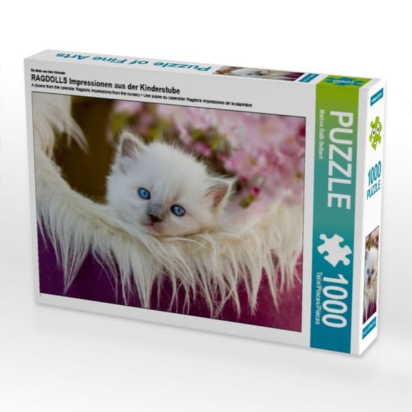 CALVENDO Puzzle Ein Motiv aus dem Kalender RAGDOLLS Impressionen aus der Kinderstube 1000 Teile Lege-Größe 64x48cm Foto-Puzzle für glückliche Stunden