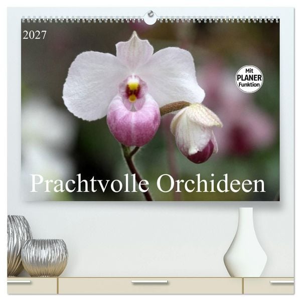 Prachtvolle Orchideen (hochwertiger Premium Wandkalender 2027 DIN A2 quer), Kunstdruck in Hochglanz