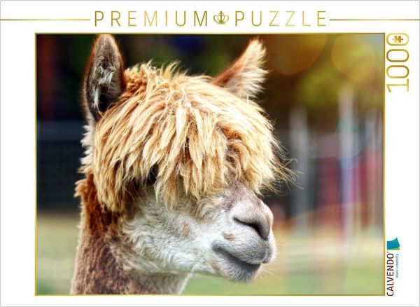 CALVENDO Puzzle Friseur? Was ist das? 1000 Teile Lege-Größe 64x48cm Foto-Puzzle für glückliche Stunden