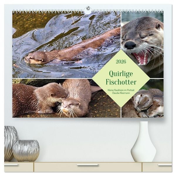 Quirlige Fischotter (hochwertiger Premium Wandkalender 2026 DIN A2 quer), Kunstdruck in Hochglanz