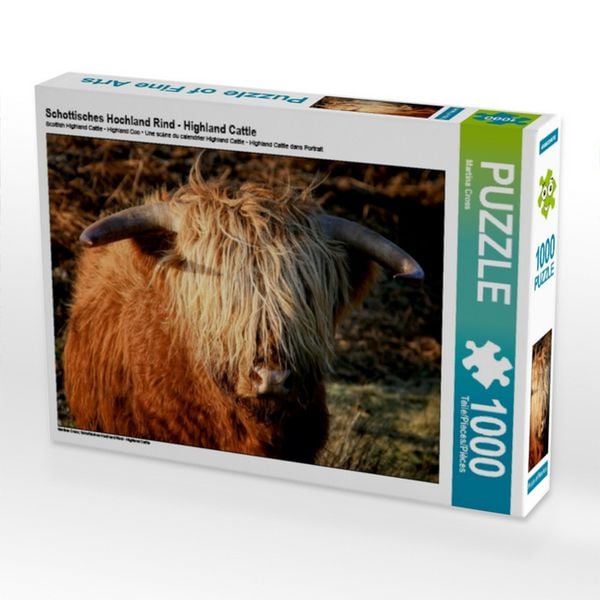 CALVENDO Puzzle Schottisches Hochland Rind - Highland Cattle 1000 Teile Puzzle quer 1000 Teile Lege-Größe 64 × 48 cm Foto-Puzzle für glückliche Stunden