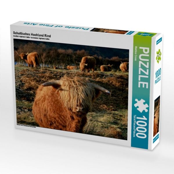 CALVENDO Puzzle Schottisches Hochland Rind 1000 Teile Lege-Größe 64x48cm Foto-Puzzle für glückliche Stunden