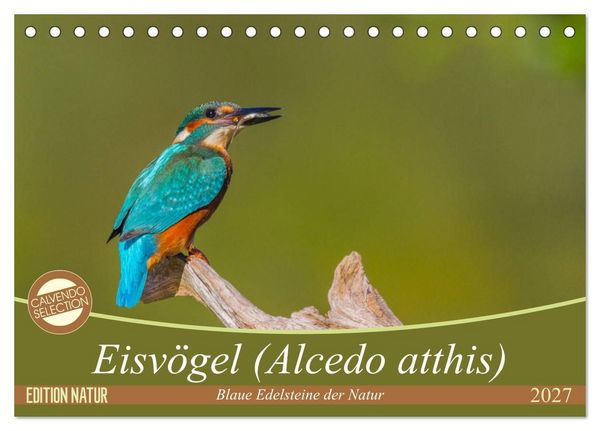 Eisvögel (Alcedo atthis) - Edelsteine der Natur (Tischkalender 2027 DIN A5 quer), CALVENDO Monatskalender