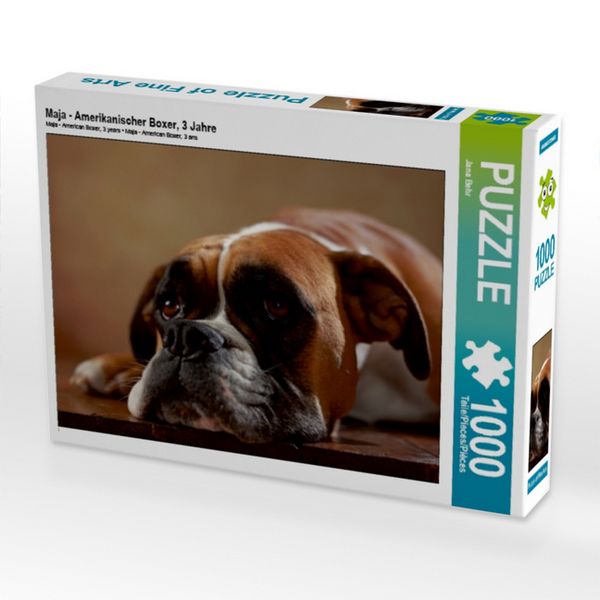 CALVENDO Puzzle Maja - Amerikanischer Boxer, 3 Jahre 1000 Teile Puzzle quer 1000 Teile Lege-Größe 64 × 48 cm Foto-Puzzle für glückliche Stunden