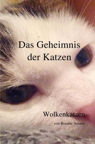 Das Geheimnis der Katzen / Das Geheimnis der Katzen - Wolkenkatzen