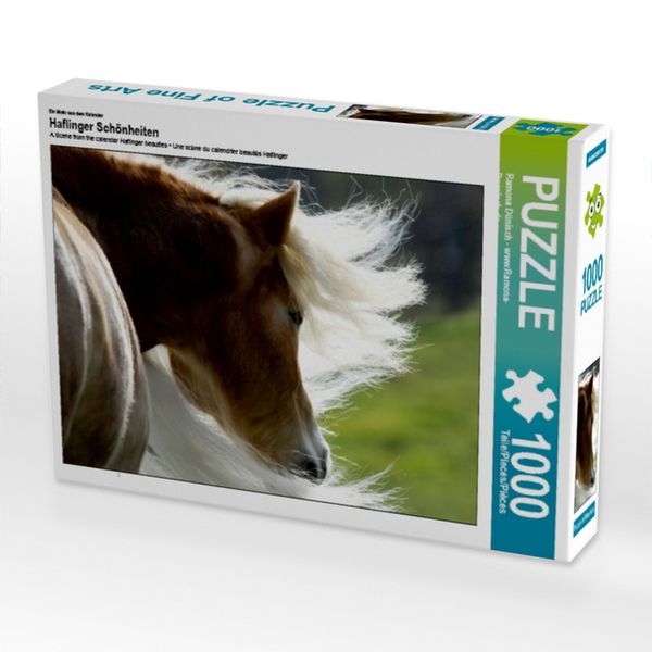 CALVENDO Puzzle Ein Motiv aus dem Kalender Haflinger Schönheiten 1000 Teile Lege-Größe 64x48cm Foto-Puzzle für glückliche Stunden