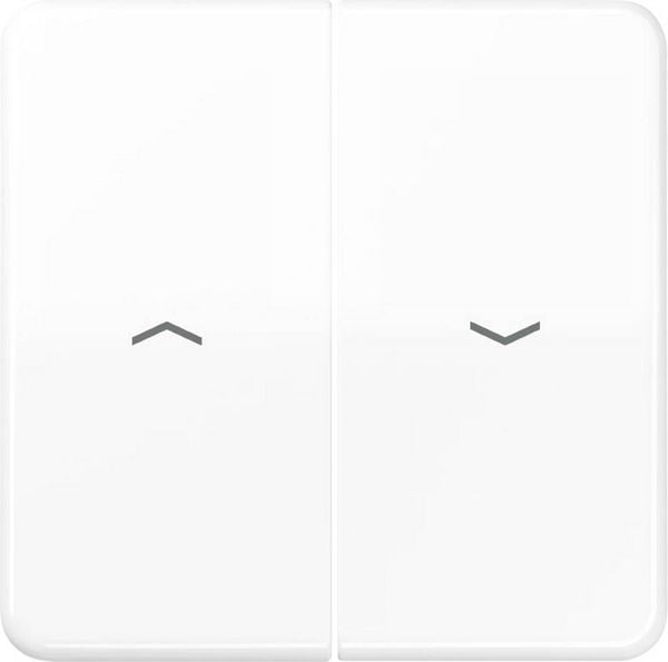 Jung 2fach Abdeckung Jalousie-Schalter, Jalousie-Schalter/-Taster Alpinweiß CD595PWW 1 St.