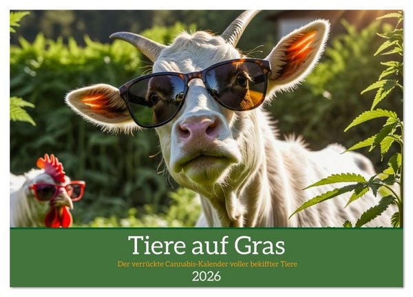 Tiere auf Gras - Der verrückte Cannabis-Kalender voller bekiffter Tiere (Wandkalender 2026 DIN A4 quer), CALVENDO Monatskalender