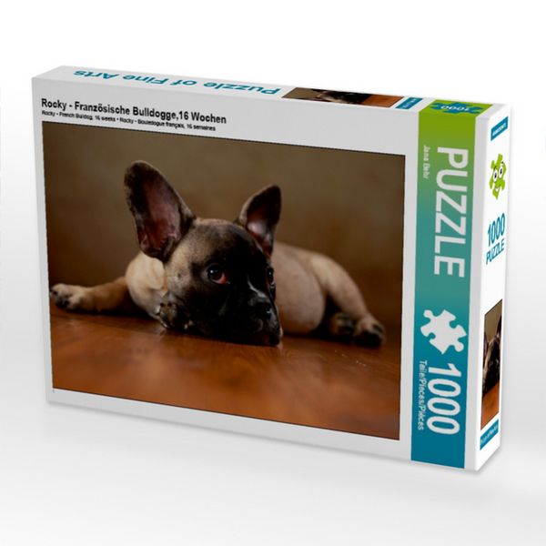 CALVENDO Puzzle Rocky - Französische Bulldogge,16 Wochen 1000 Teile Puzzle quer 1000 Teile Lege-Größe 64 × 48 cm Foto-Puzzle für glückliche Stunden