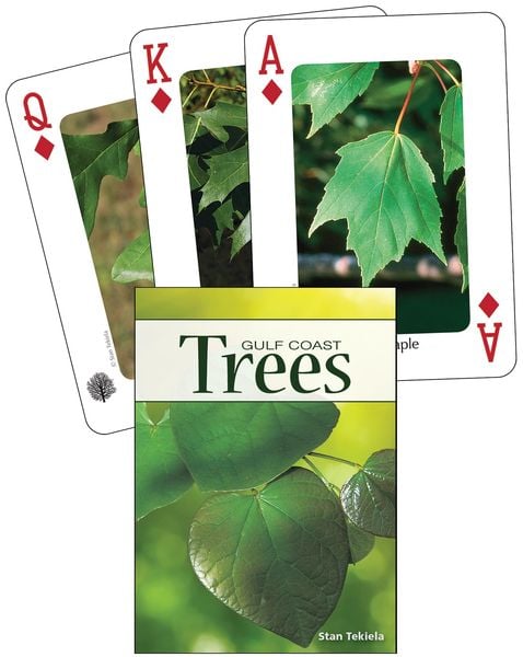 Trees of the Gulf Coast