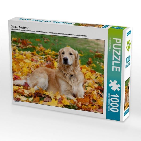 CALVENDO Puzzle Golden Retriever 1000 Teile Lege-Größe 64x48cm Foto-Puzzle für glückliche Stunden