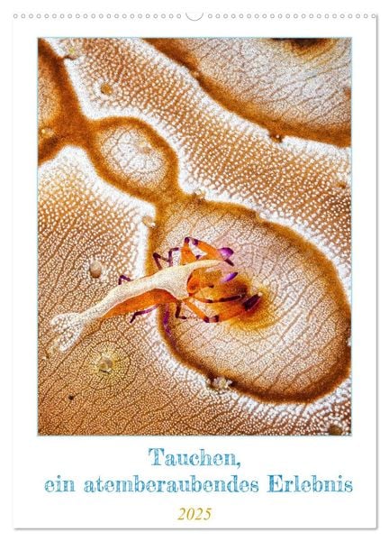 Tauchen, ein atemberaubendes Erlebnis (Wandkalender 2025 DIN A2 hoch), CALVENDO Monatskalender