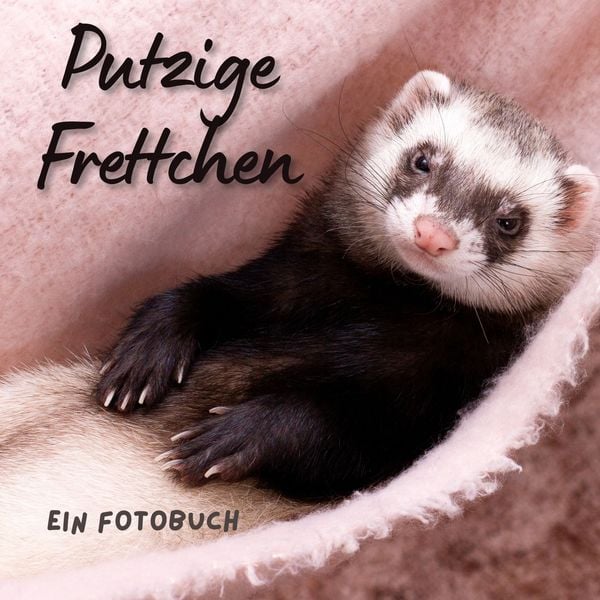 Putzige Frettchen