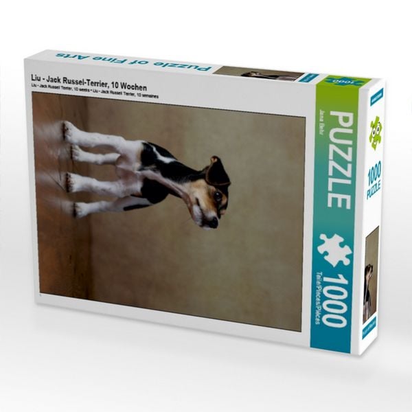 CALVENDO Puzzle Liu - Jack Russel-Terrier, 10 Wochen 1000 Teile Puzzle hoch 1000 Teile Lege-Größe 64 × 48 cm Foto-Puzzle für glückliche Stunden