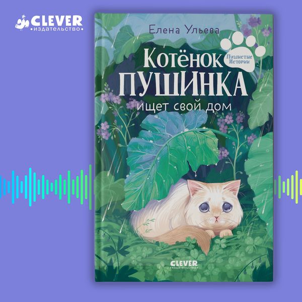 Kotenok Pushinka ischet svoy dom