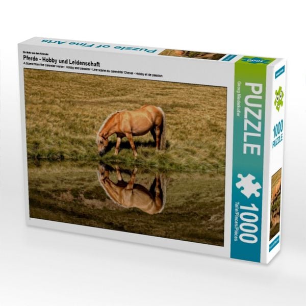 CALVENDO Puzzle Ein Motiv aus dem Kalender Pferde - Hobby und Leidenschaft 1000 Teile Lege-Größe 64x48cm Foto-Puzzle für glückliche Stunden