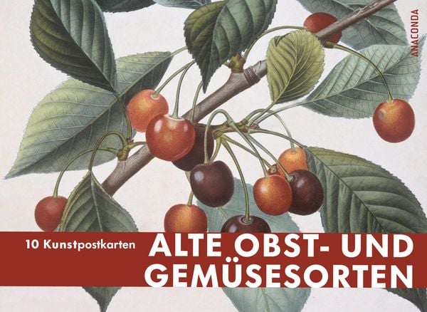 Postkarten Großformat Alte Obst- und Gemüsesorten